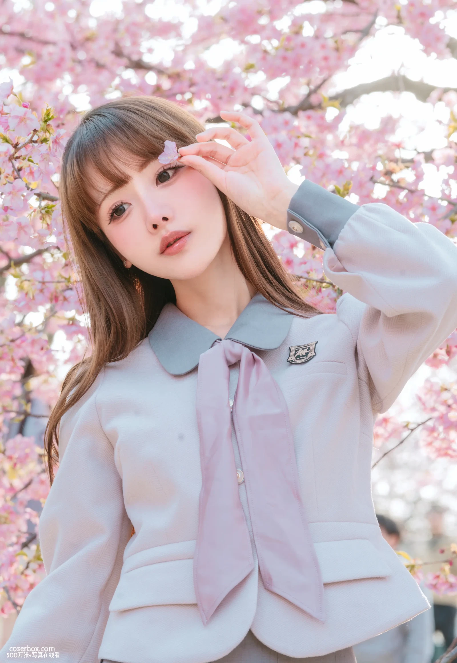 紫氯氯 2023.10.24 樱花下的JK少女 - 在线看可下载原图
