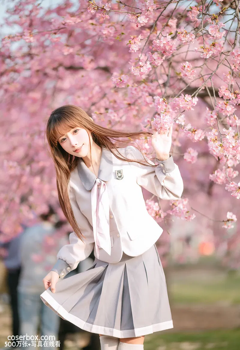 紫氯氯 2023.10.24 樱花下的JK少女