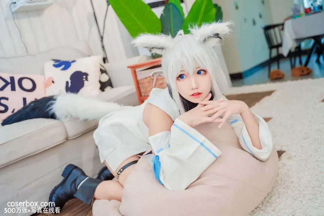 猫君君_MaoJun 2023.11.11 白上吹雪 - 在线看可下载原图
