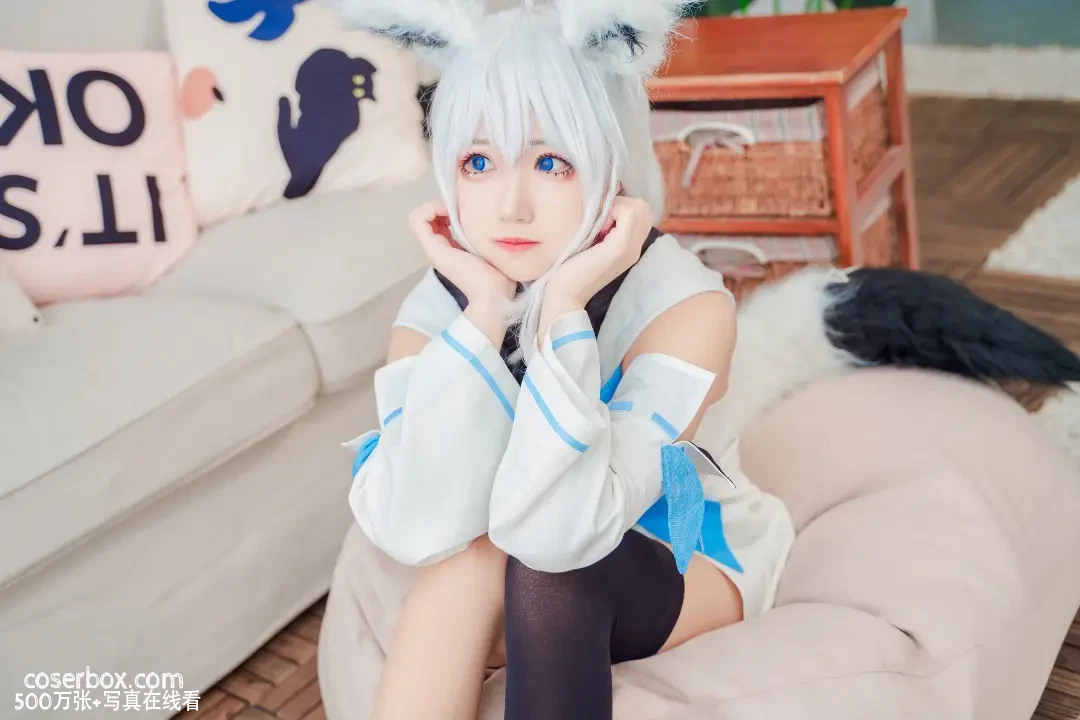 猫君君_MaoJun 2023.11.11 白上吹雪 - 在线看可下载原图