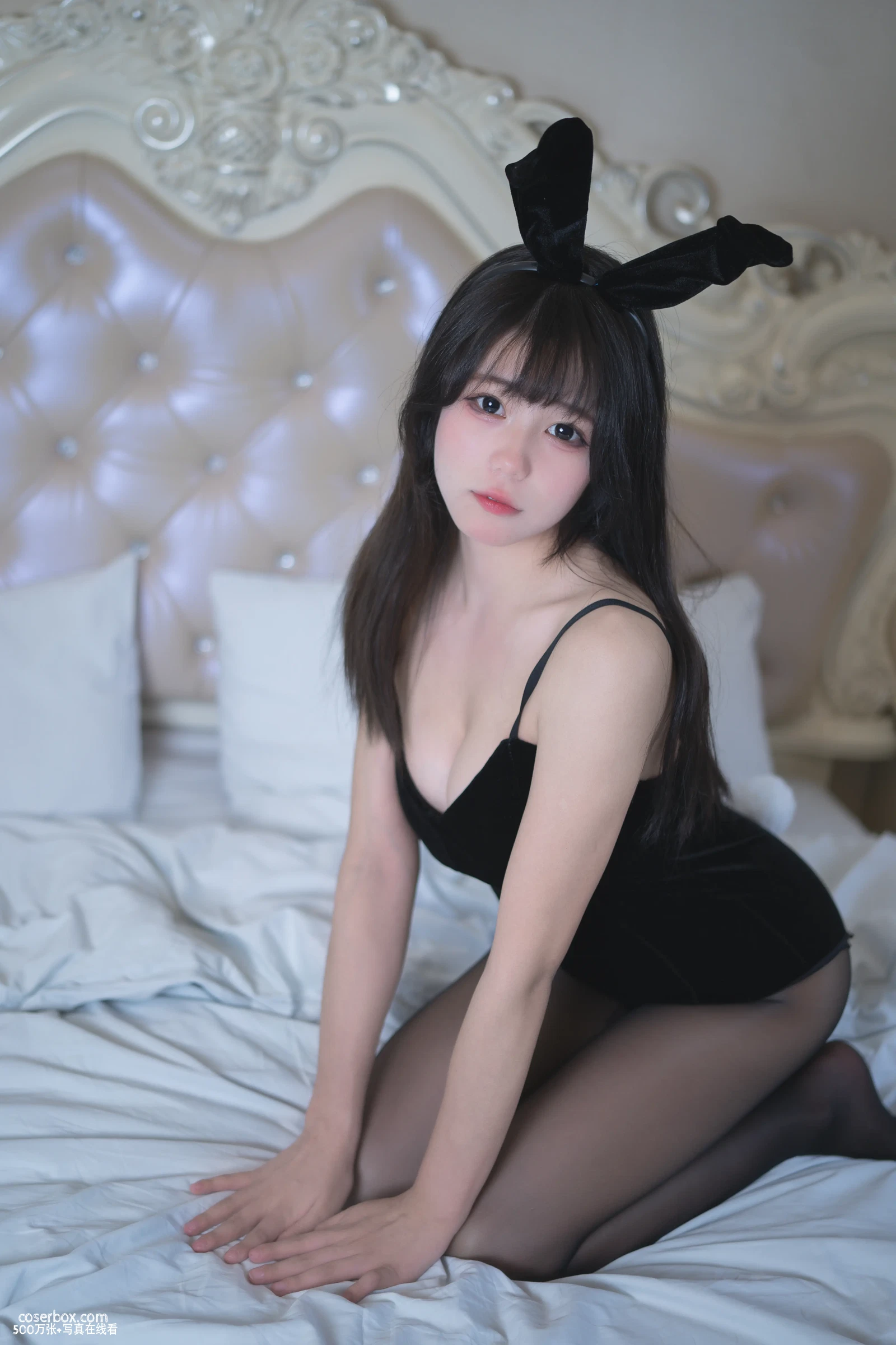 黏黏团子兔 2023.11.29 night兔女郎 - 在线看可下载原图
