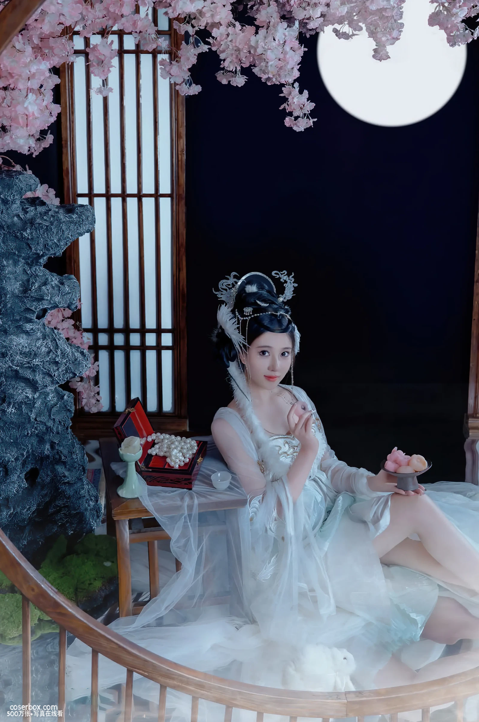 年年 N2023.12.18 嫦娥仙子-清新版 - 在线看可下载原图