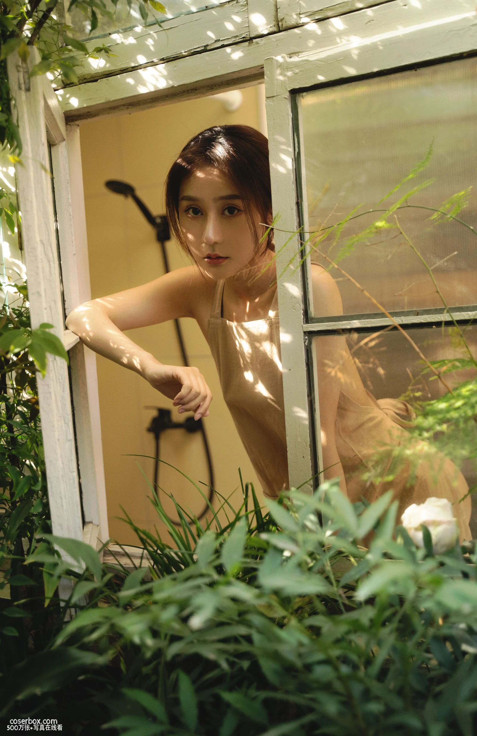 夕颜 2023.12.22 花园围裙 清新版 - 在线看可下载原图