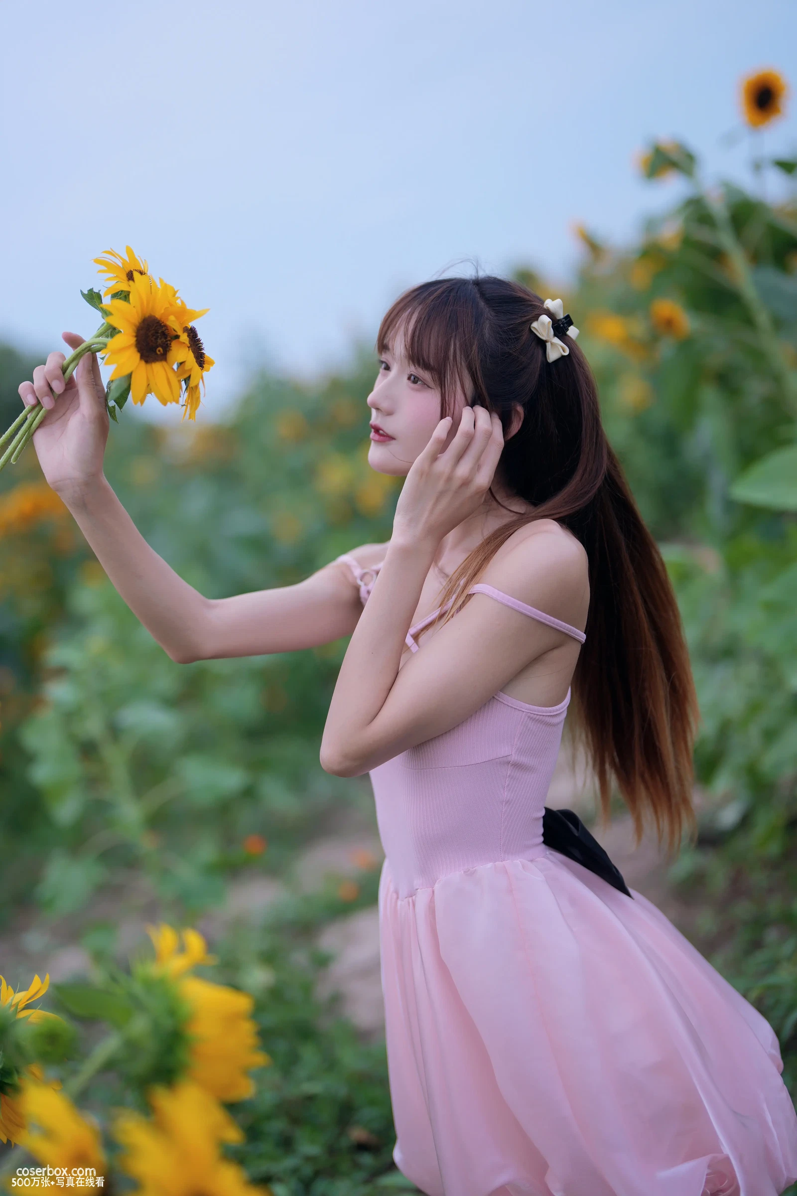 兔子Zzz不吃胡萝卜 2023.12.24 蓝调向日葵少女 - 在线看可下载原图