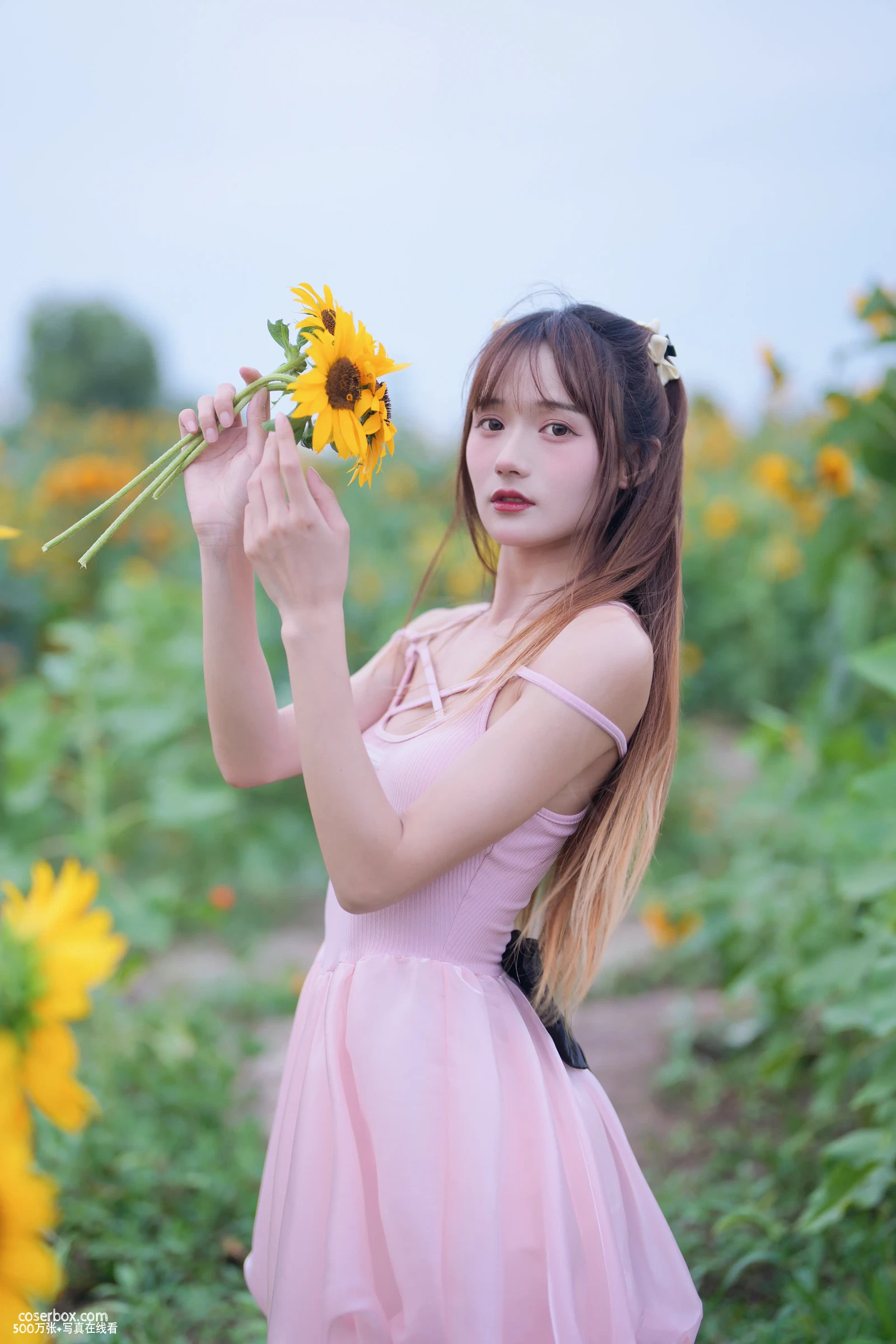 兔子Zzz不吃胡萝卜 2023.12.24 蓝调向日葵少女 - 在线看可下载原图