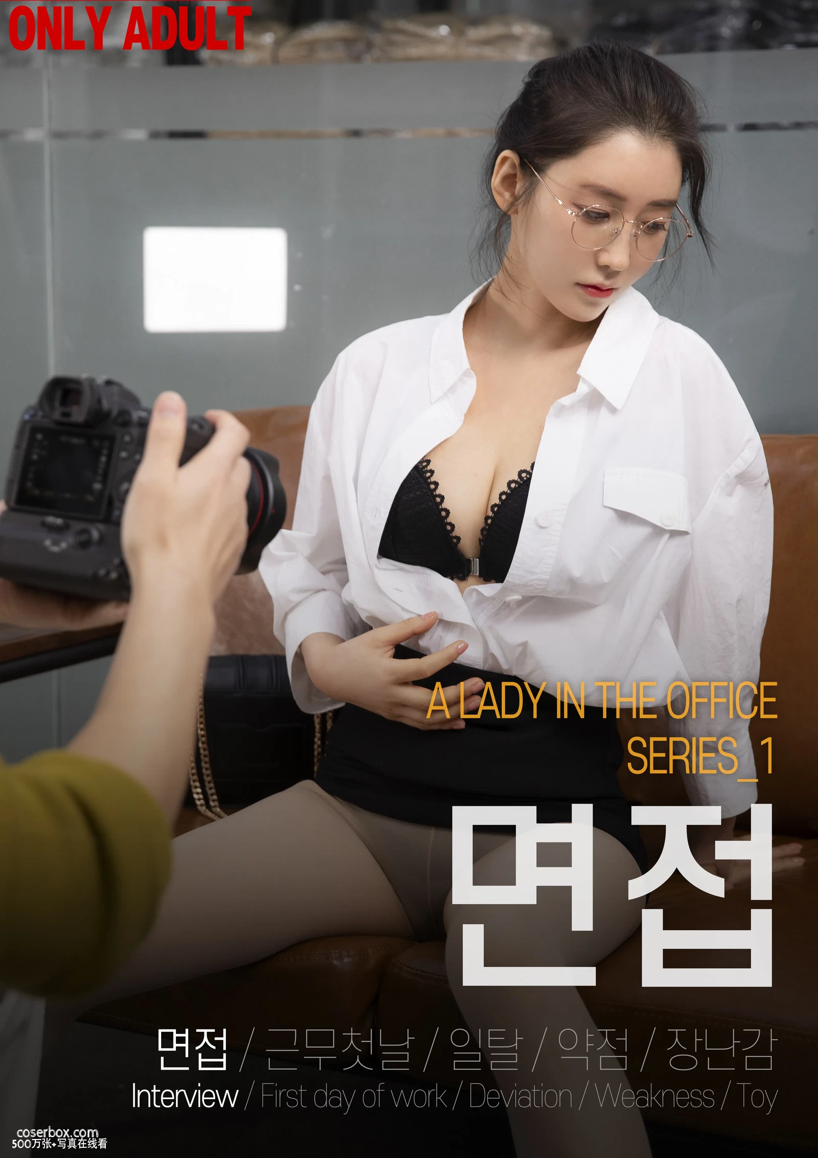 LeeHa 2024.01.16 A Lady in The Office 办公室-职场佳人 - 在线看可下载原图