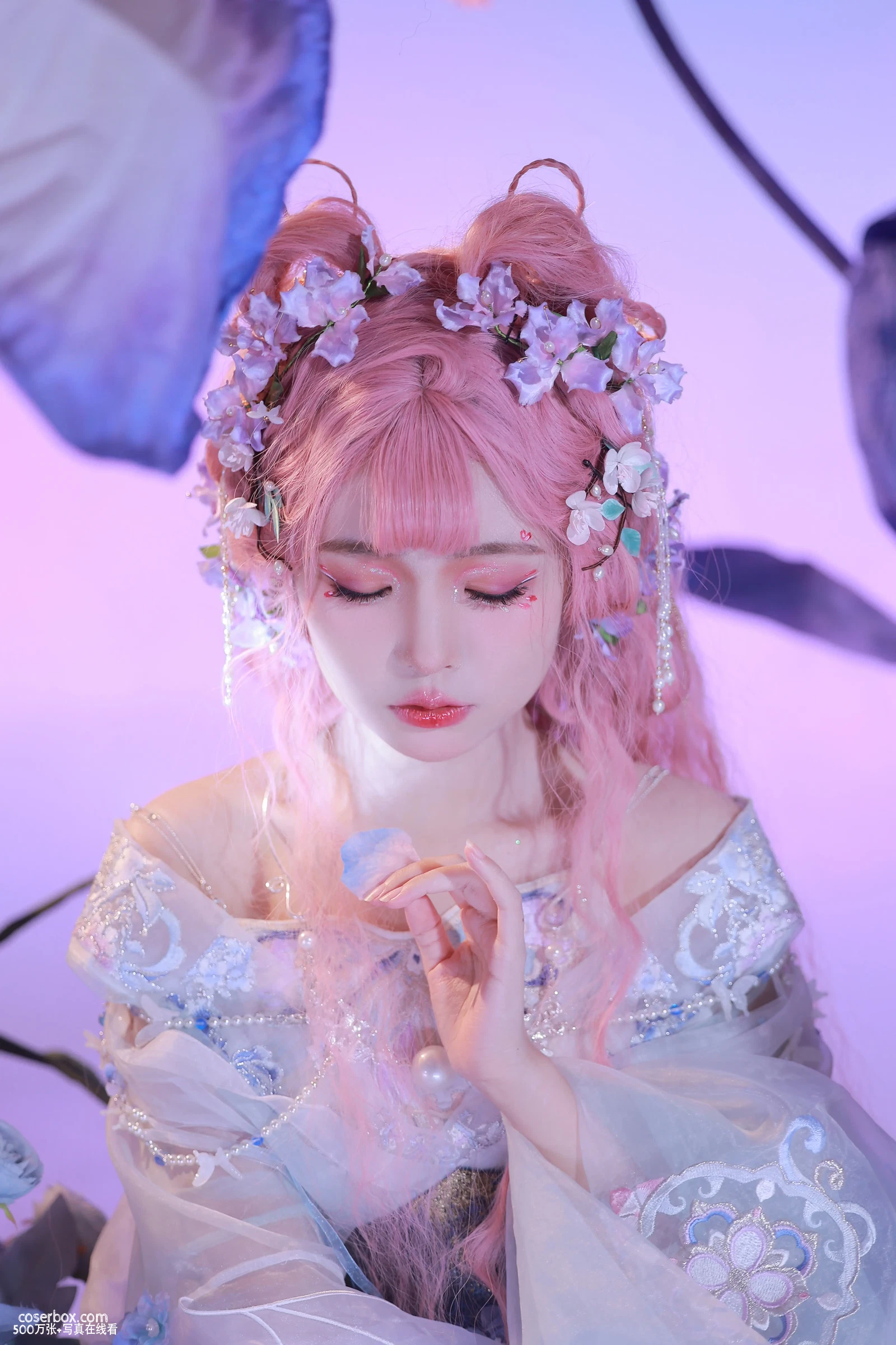 怀里猫ovo 2024.01.26 花月夜蝶梦 - 在线看可下载原图