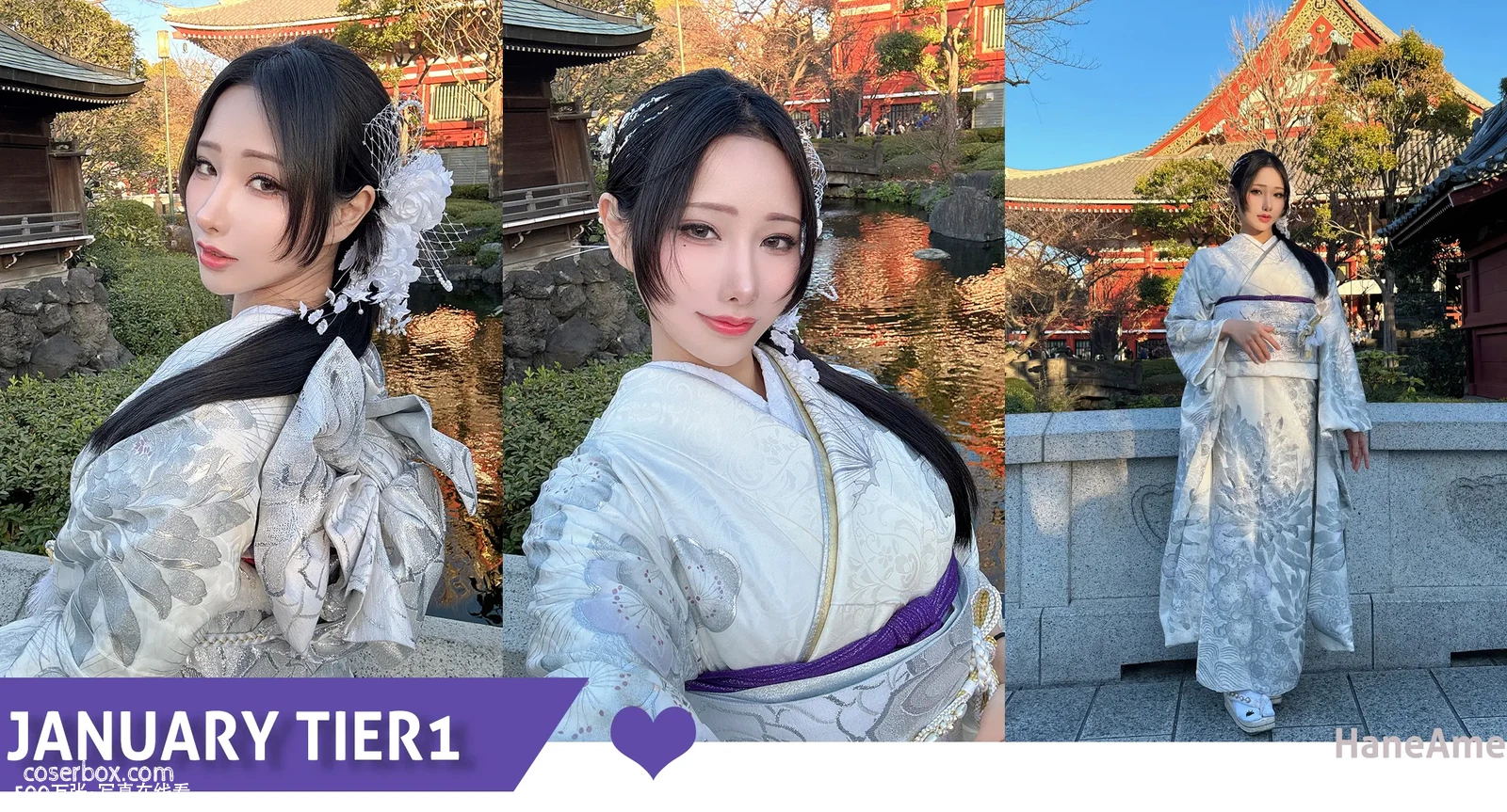 雨波 2024.02.28 Original 2024 New year Silver Kimono - 在线看可下载原图