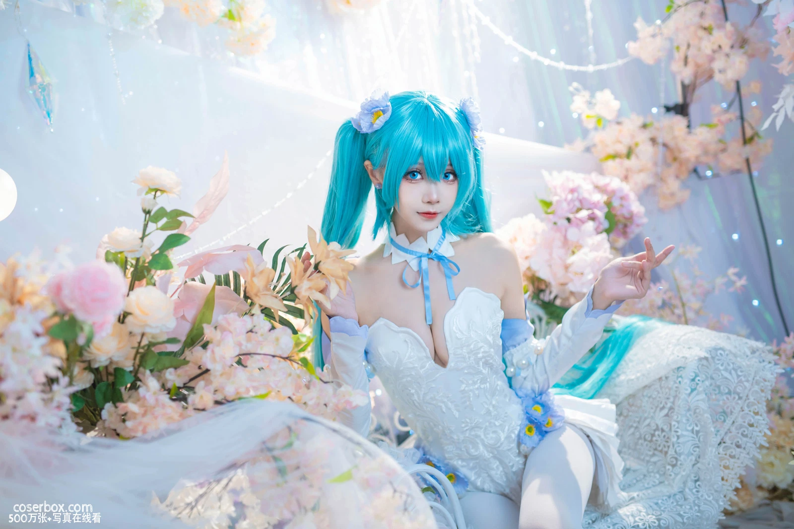 艾西aiwest 初音 2024.05.01 粉蝶花 - 在线看可下载原图