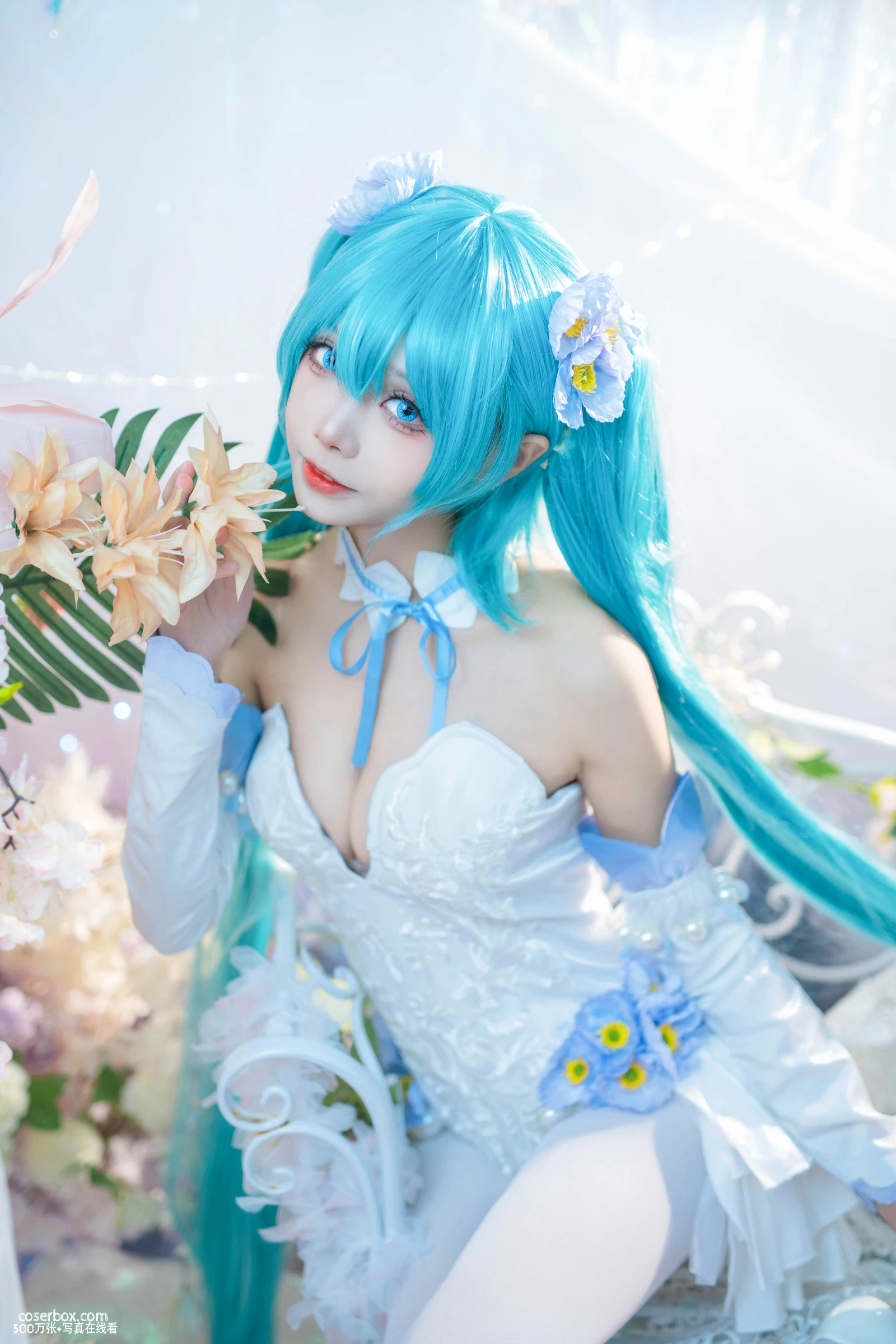 艾西aiwest 初音 2024.05.01 粉蝶花 - 在线看可下载原图