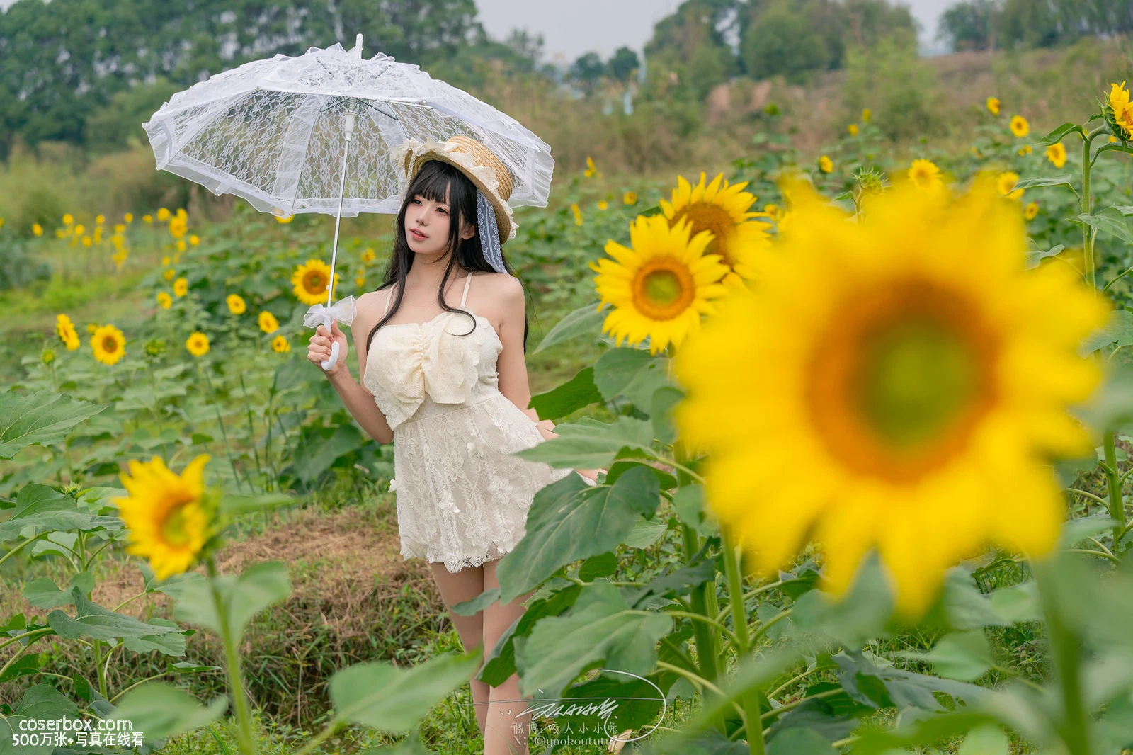 黏黏团子兔 2024.09.30 7月作品『夏の葵』 - 在线看可下载原图