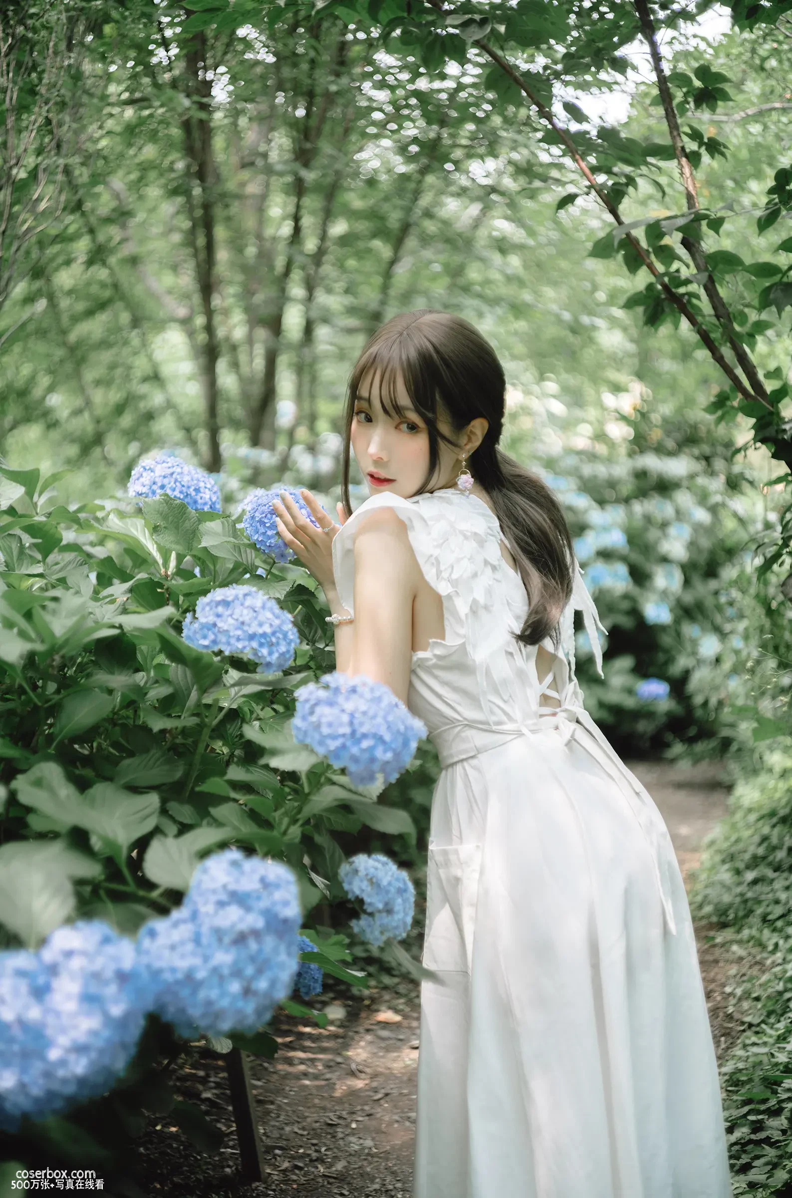 ElyEE子 2024.11.04 2024 July-Tier 3 A.Rainy Season雨季繡球花 - 在线看可下载原图
