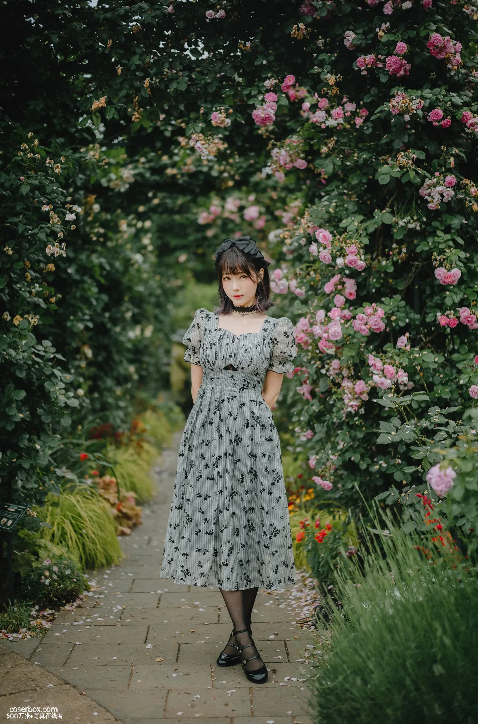 ElyEE子 2024.11.01 Aug-Tier 3 A.Roses After the_Rain雨後玫瑰 - 在线看可下载原图