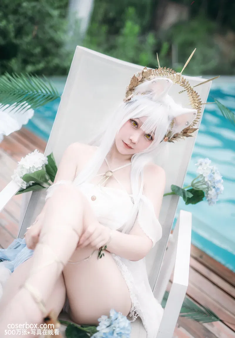 Halo_酱 2024.12.04 明日方舟白金