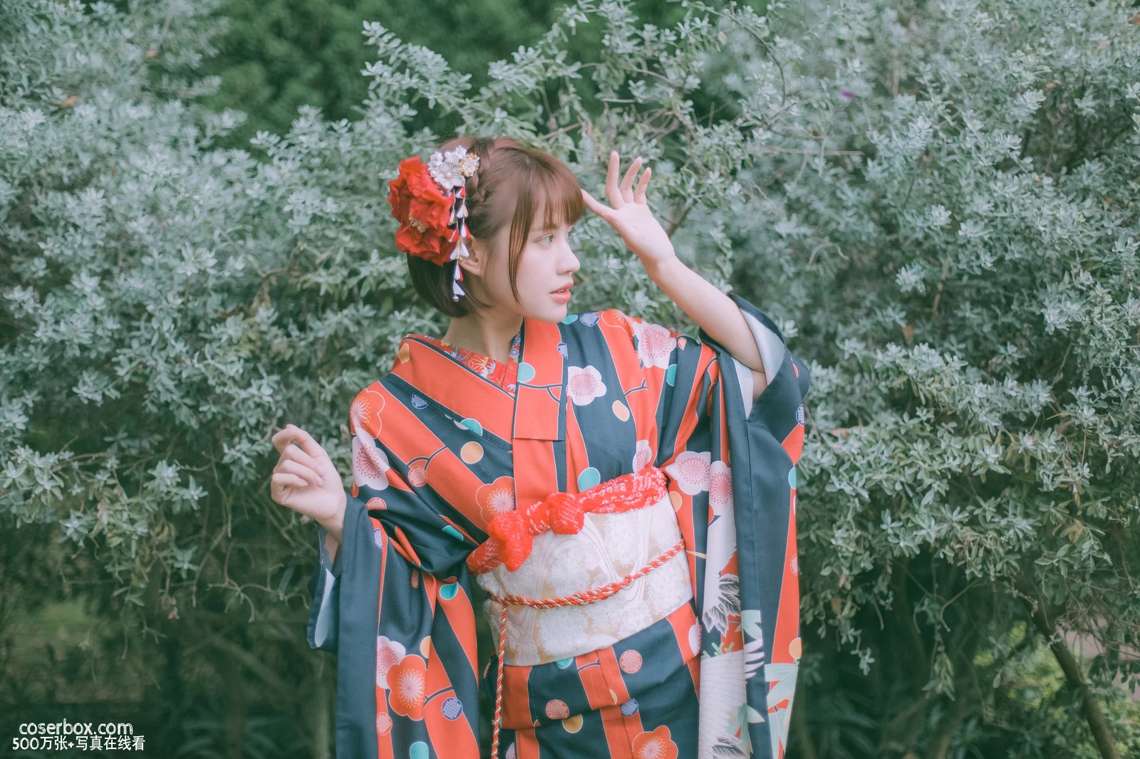 PingPing 2025.01.11 Kimono New Year - 在线看可下载原图