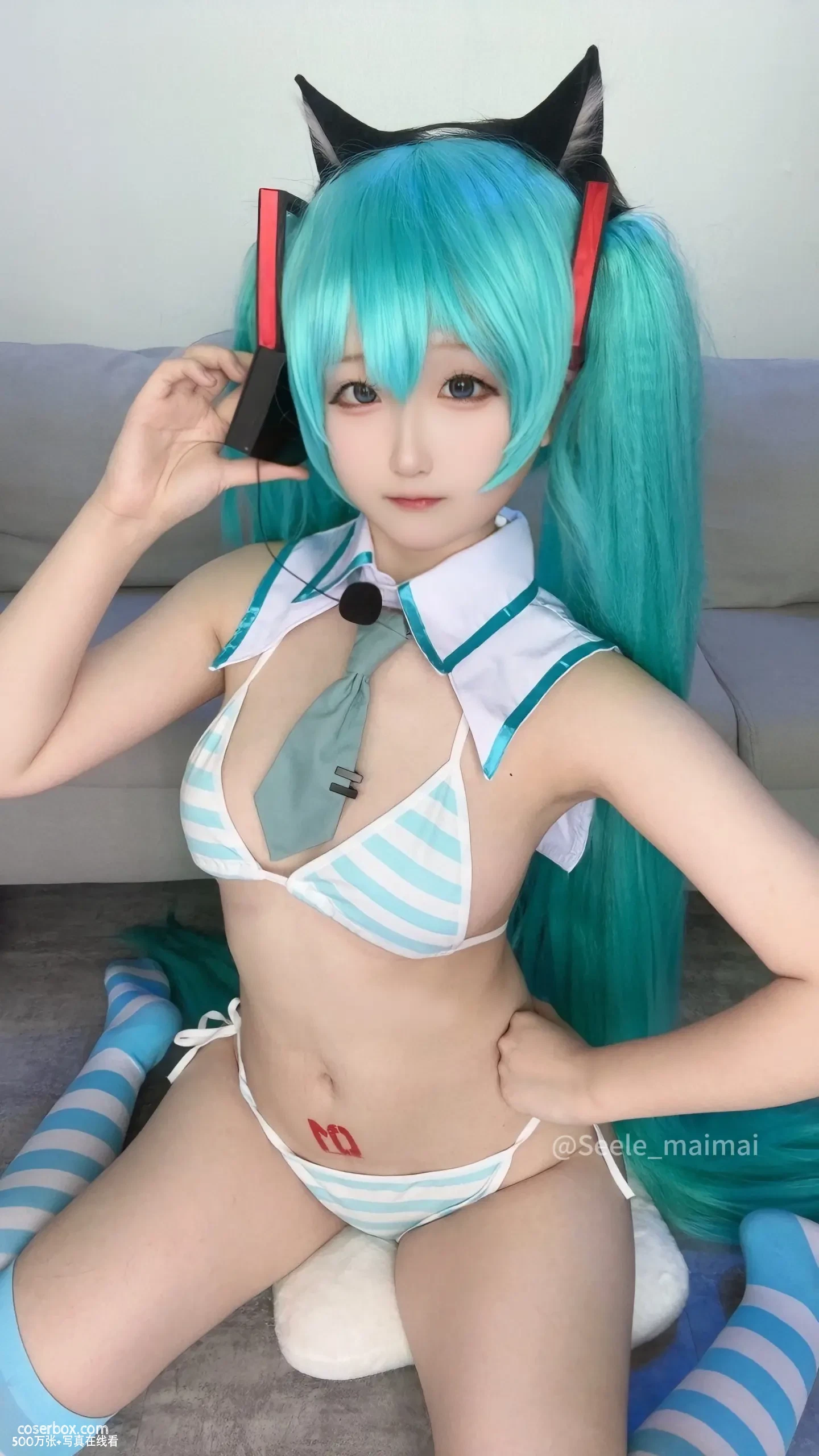 Seele麦麦 2025.01.24 初音 - 在线看可下载原图