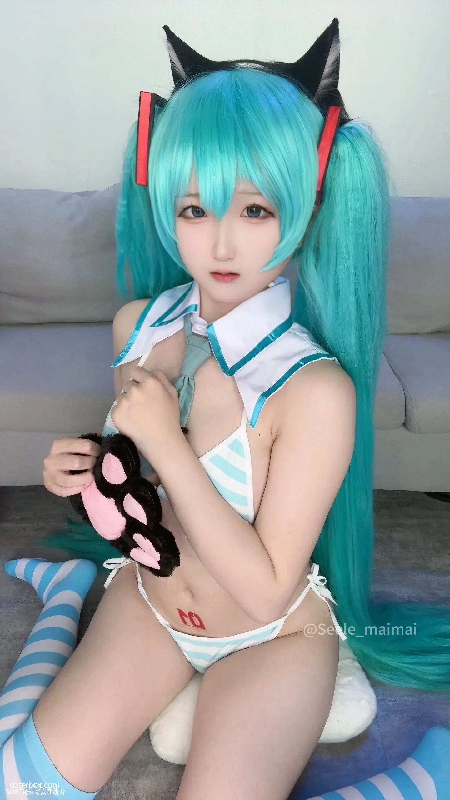 Seele麦麦 2025.01.24 初音 - 在线看可下载原图