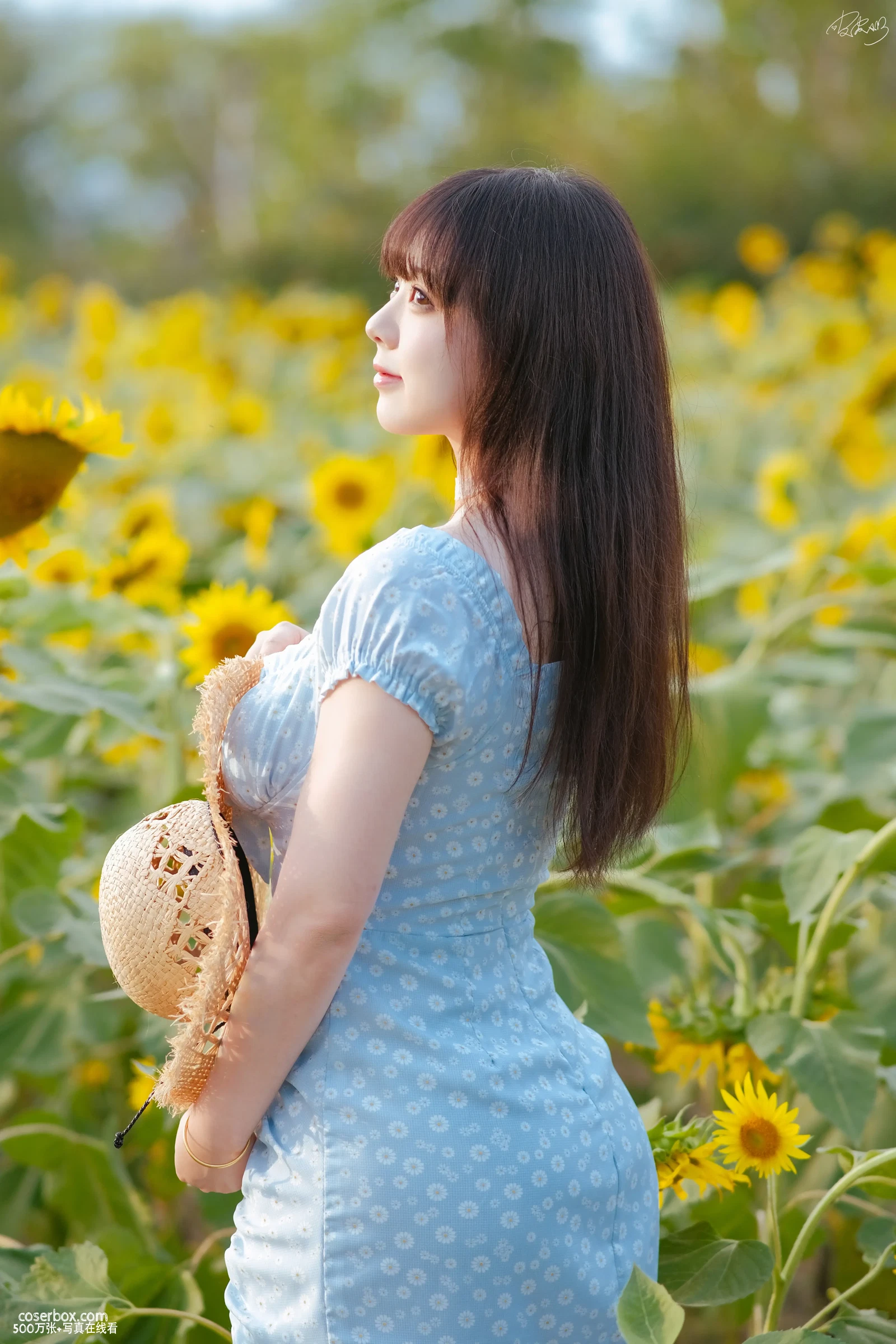 皮皮奶 2025.03.24 彼女向日葵 - 在线看可下载原图
