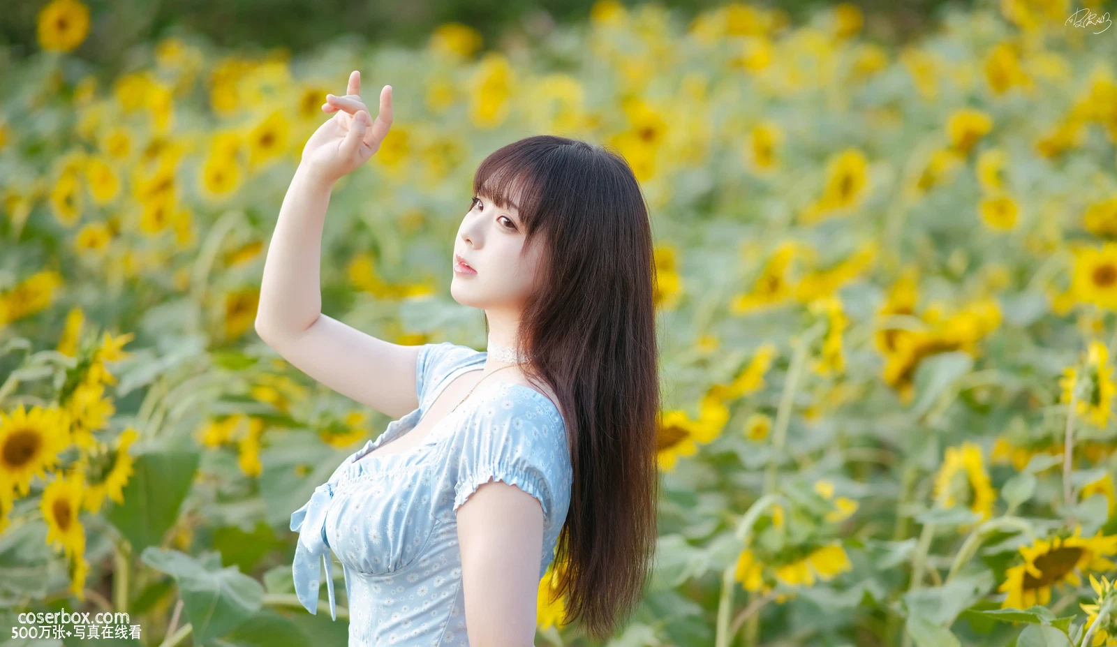 皮皮奶 2025.03.24 彼女向日葵 - 在线看可下载原图