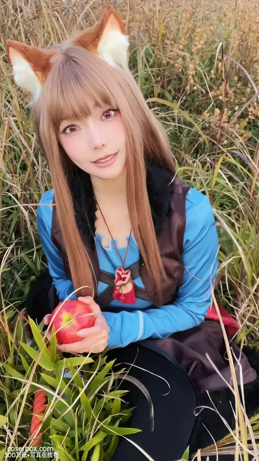 ElyEE子 2025.03.26 2024年12月订阅 (3套) B-Soft Glow狼與暖陽 - 在线看可下载原图