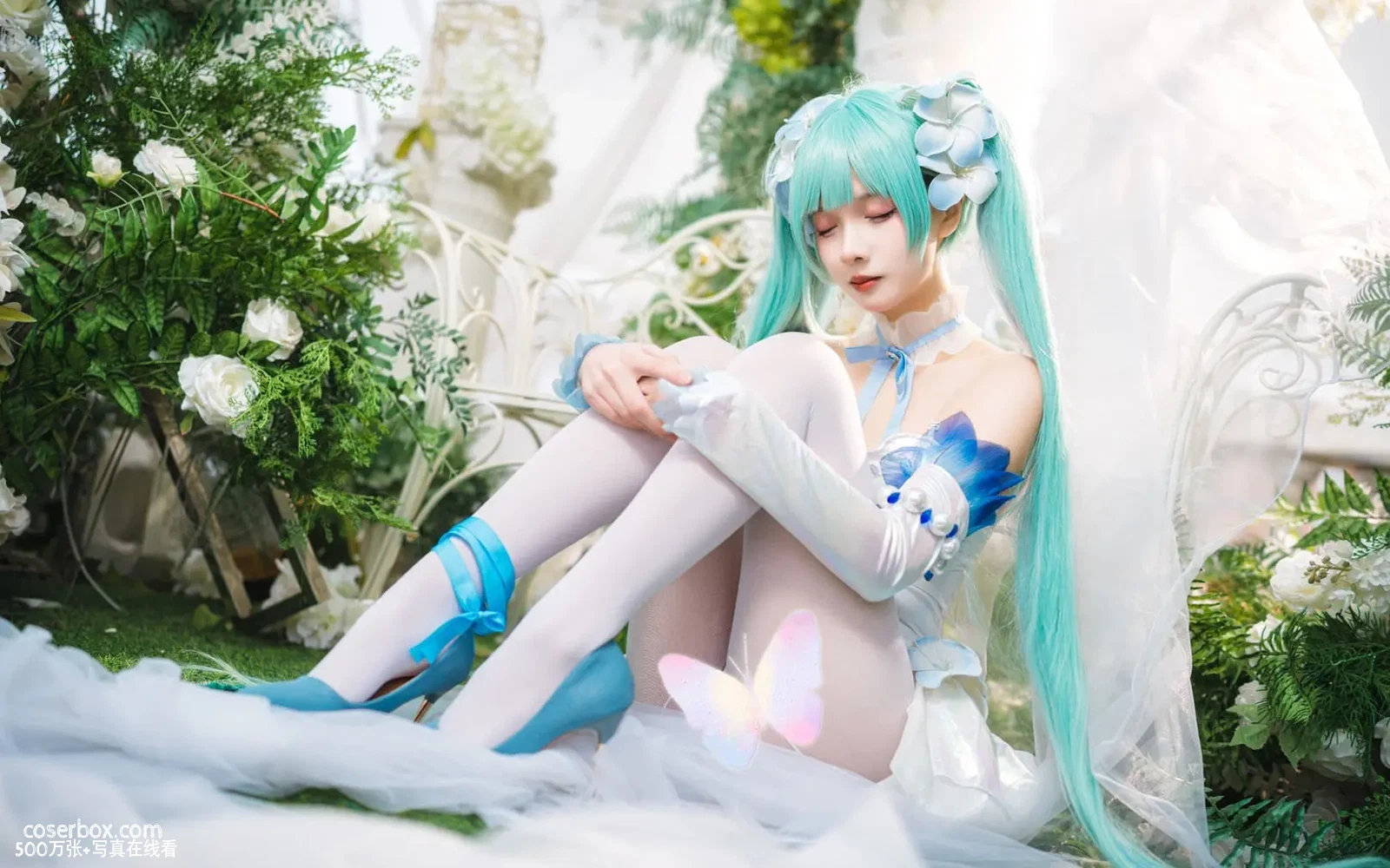 挽希 2025.05.03 miku·粉蝶花精灵 - 在线看可下载原图