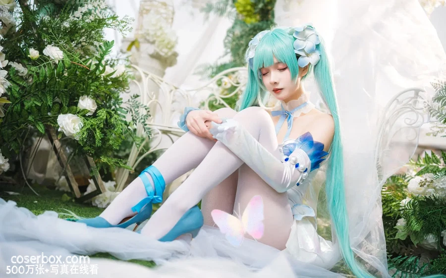 挽希 2025.05.03 miku·粉蝶花精灵 - 在线看可下载原图
