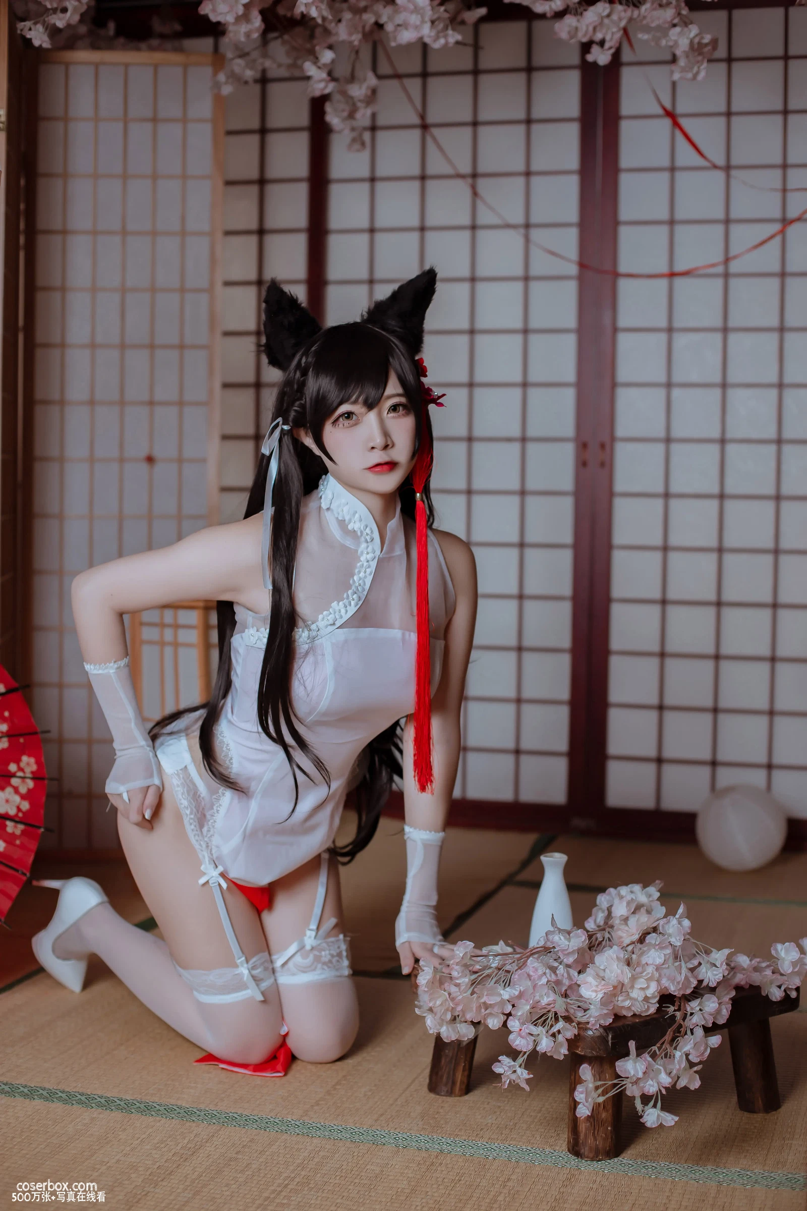 二佐Nisa 2025.05.19 犬之眷 碧蓝航线 爱宕 旗袍 - 在线看可下载原图
