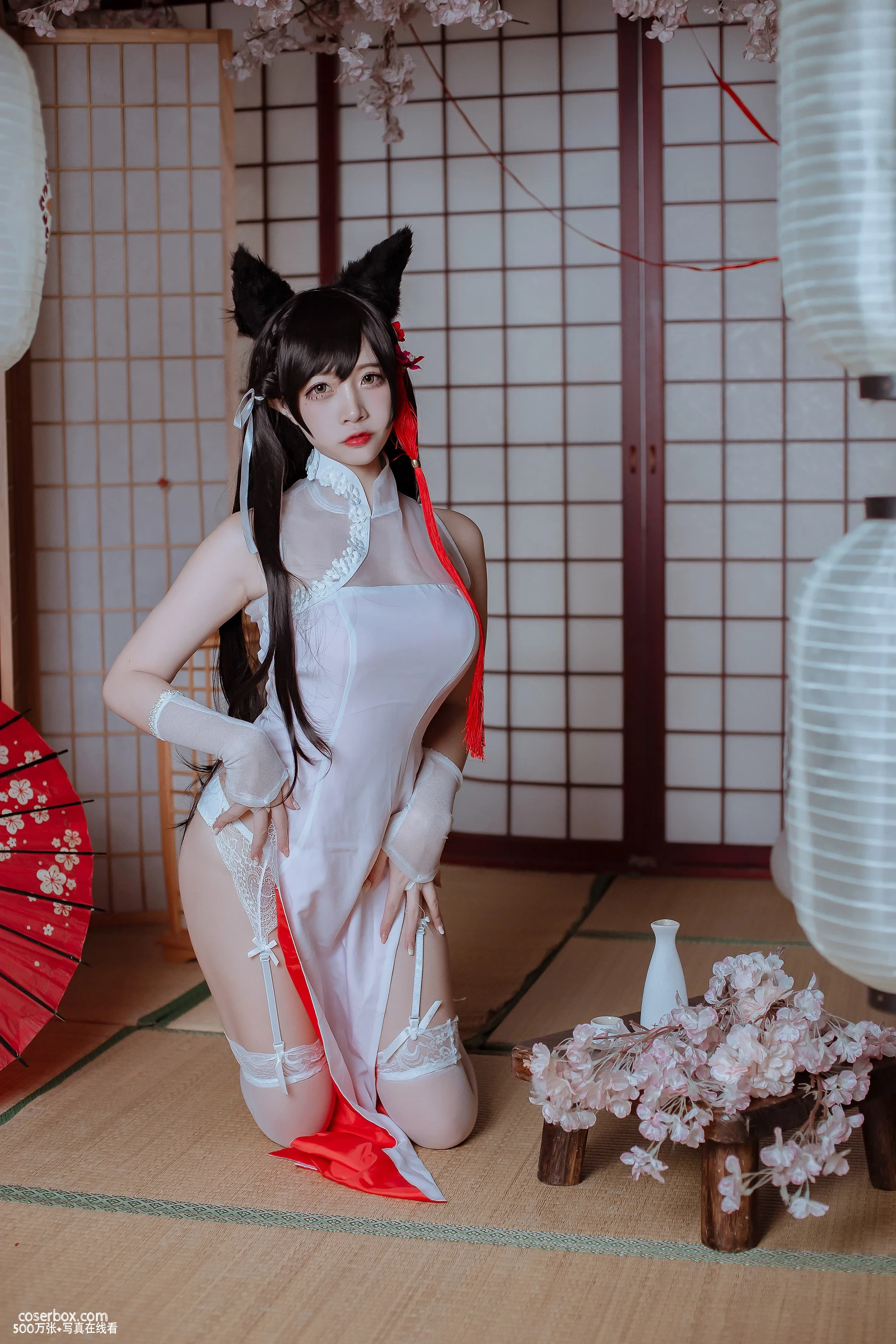 二佐Nisa 2025.05.19 犬之眷 碧蓝航线 爱宕 旗袍 - 在线看可下载原图