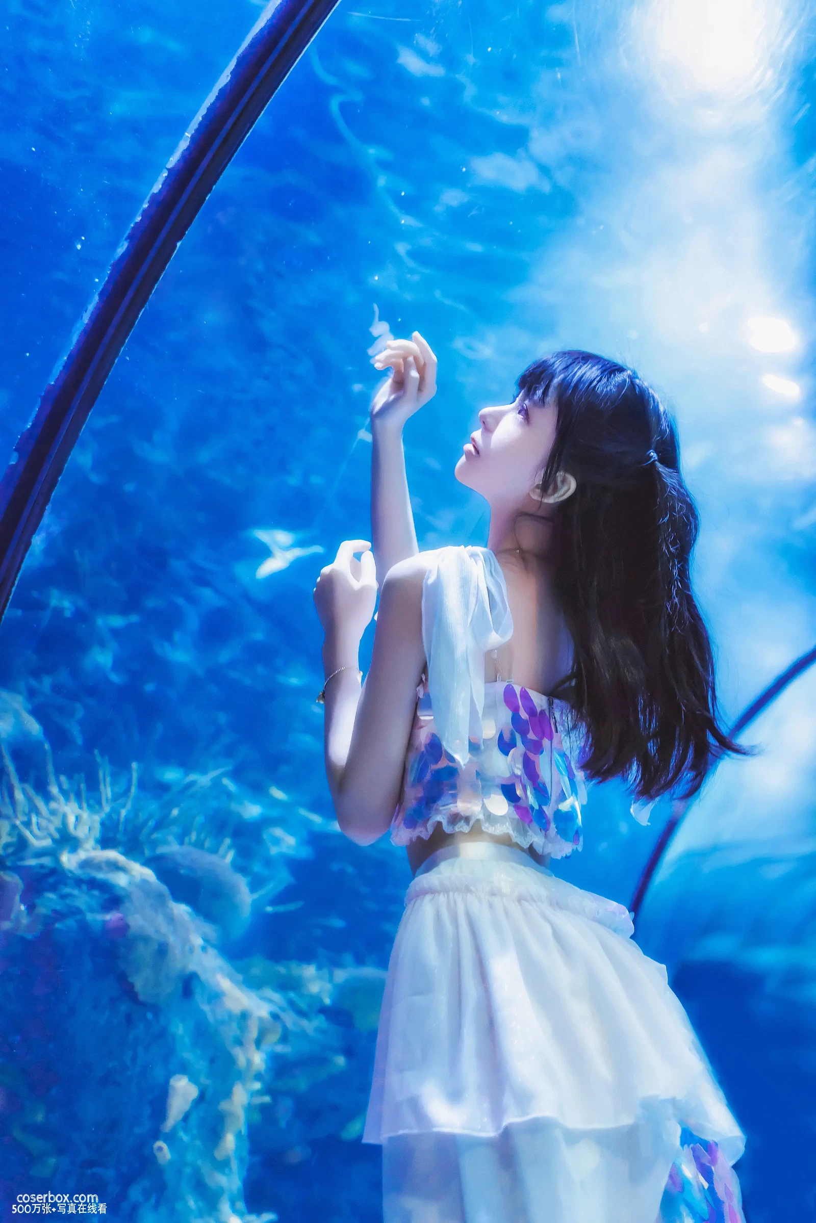 桜桃喵 2025.06.06 水族馆 - 在线看可下载原图