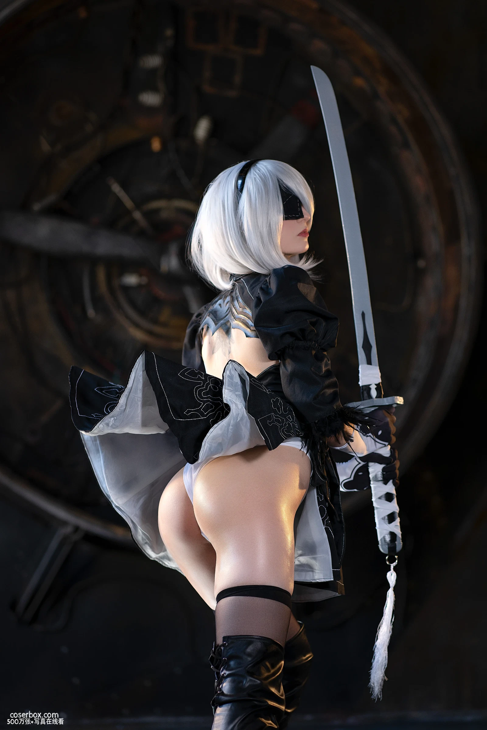 Axilirator 2025.07.13 2B Nier Automata 尼尔机械纪元2B - 在线看可下载原图