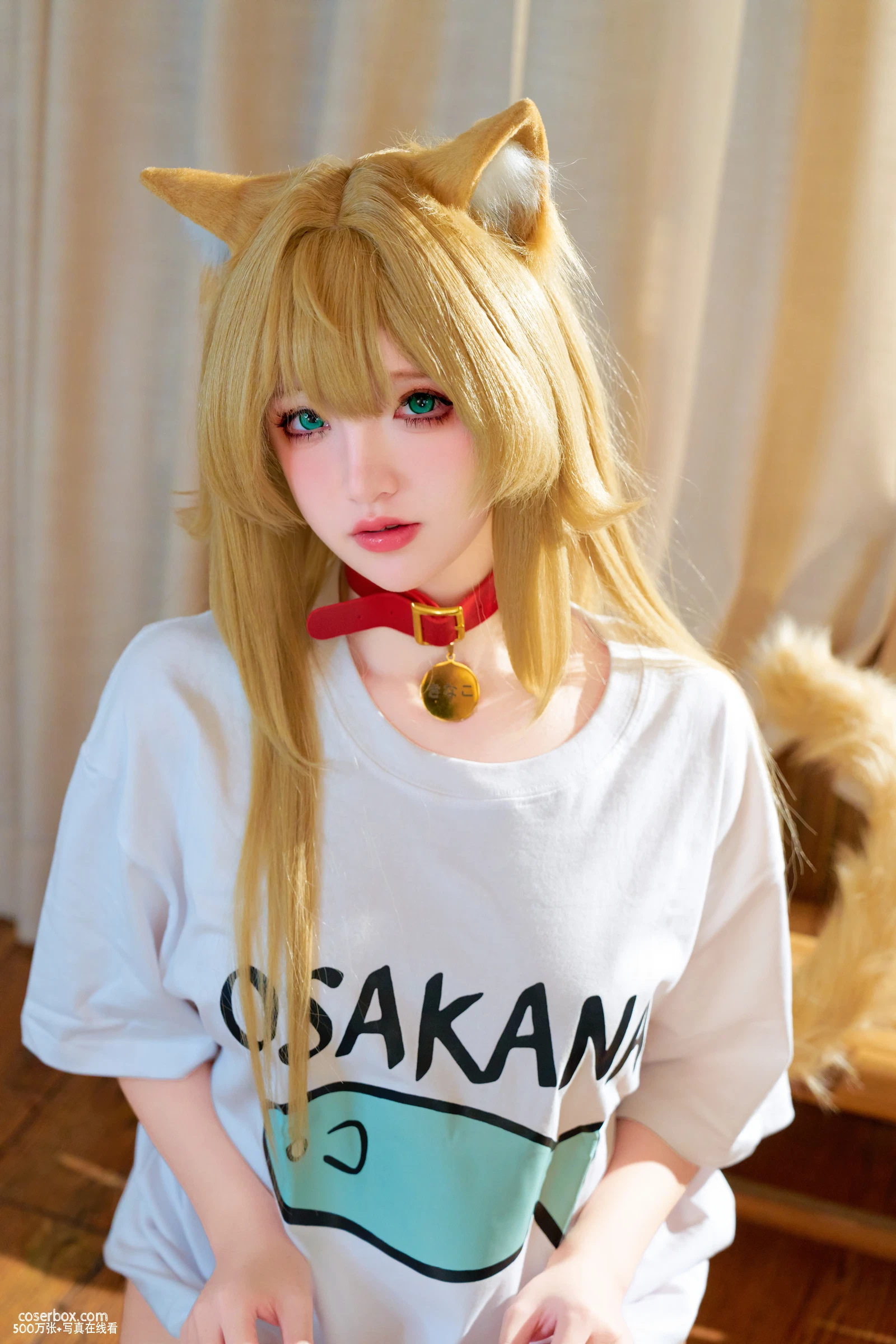 阿薰KaOri 2025.10.09 猫 - 在线看可下载原图