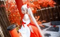 是三不是世w 2025.10.12 碧蓝航线 可畏 巫女 - 在线看可下载原图