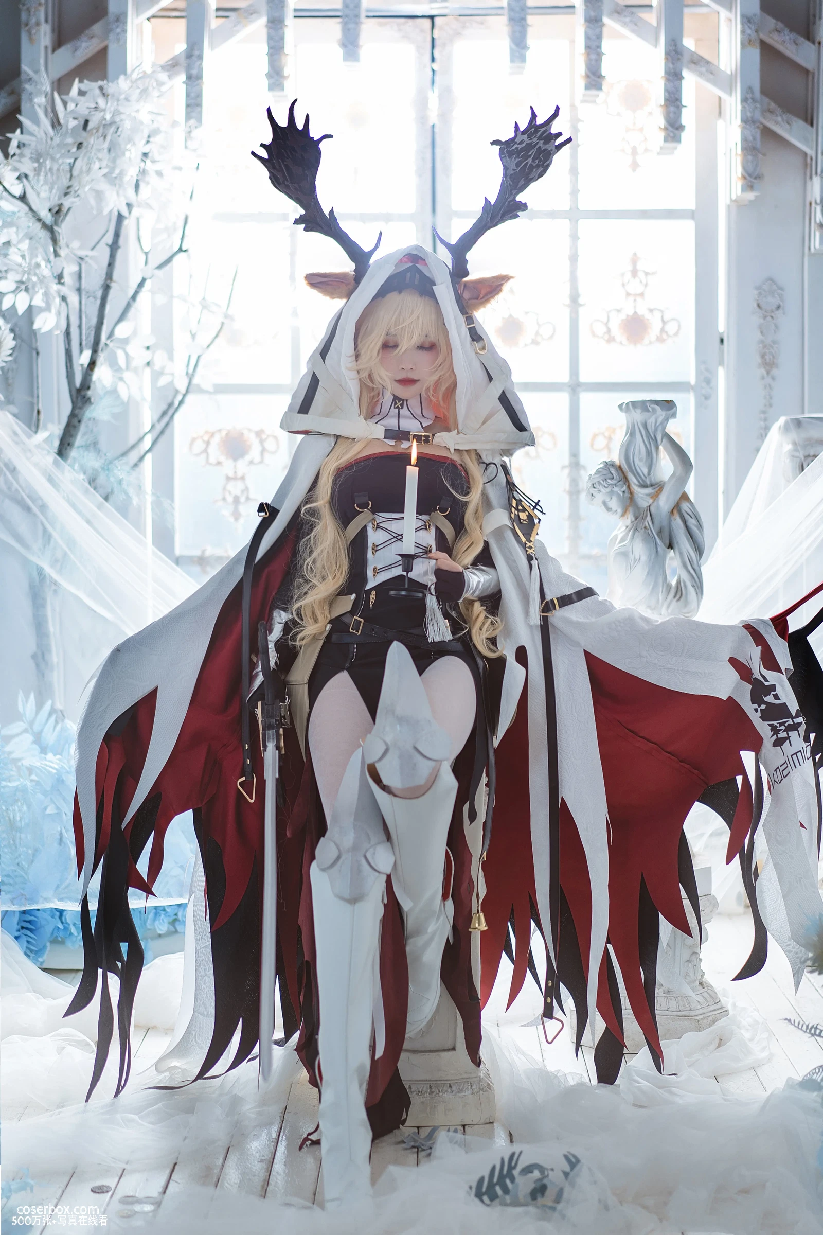 一千只猫薄禾 2025.11.03  烛骑士 薇薇安娜 - 在线看可下载原图