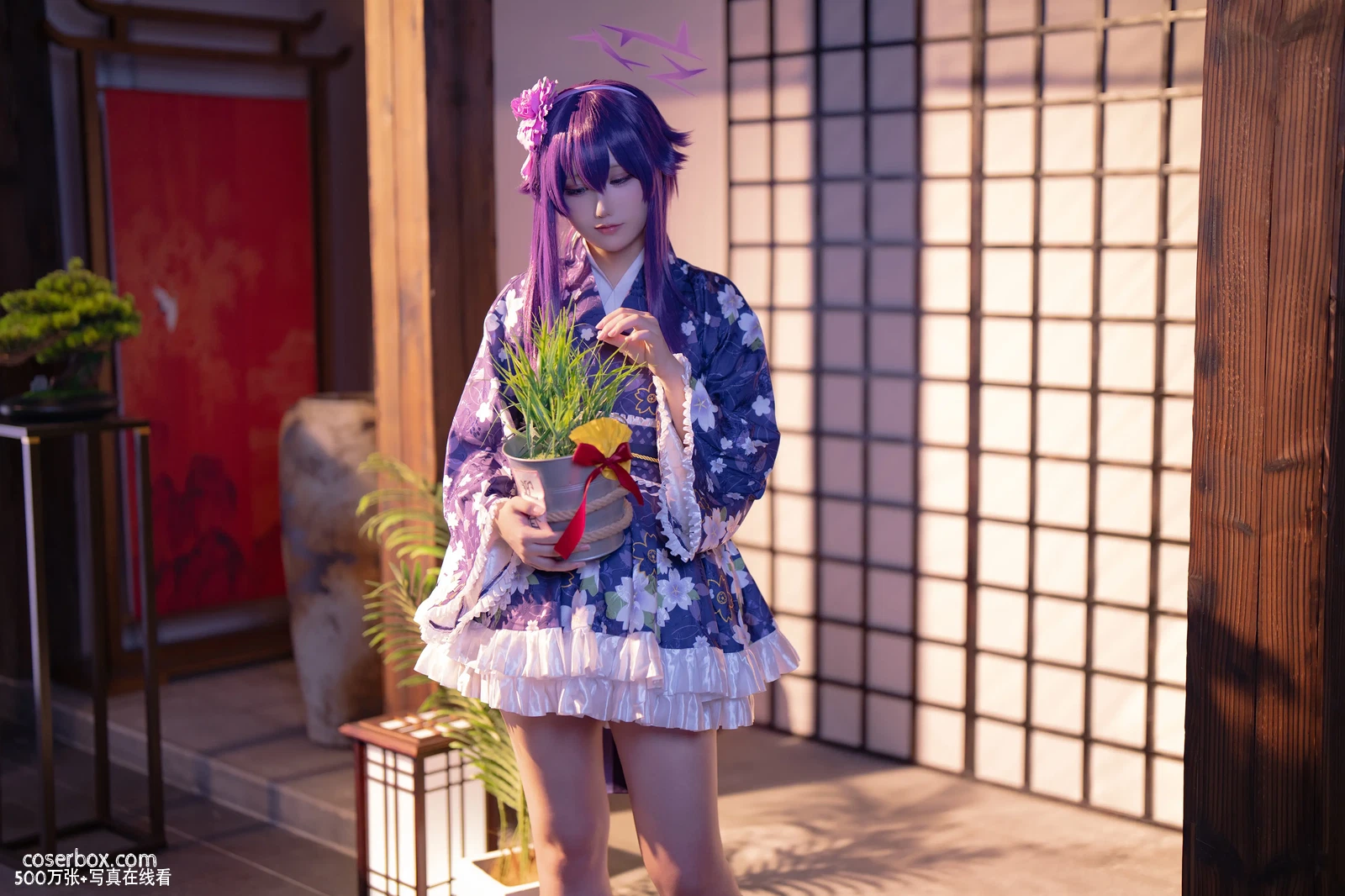 lunananya娜酱 2025.11.12 Blue Archive Igusa Haruka 碧蓝档案 伊草春香 - 在线看可下载原图