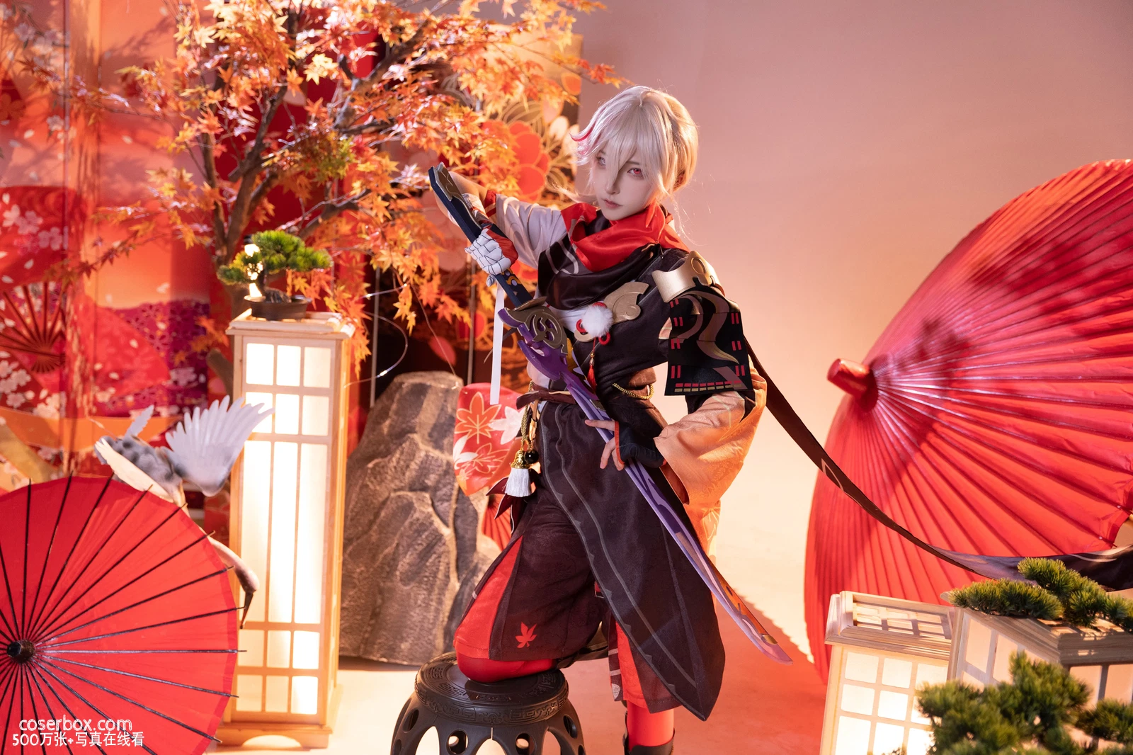 Seya狮砸 2025.11.17 原神·枫原万叶 - 在线看可下载原图