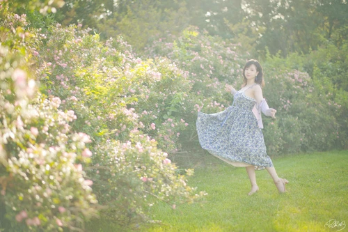 皮皮奶 2025.11.27 蔷薇花 - 在线看可下载原图