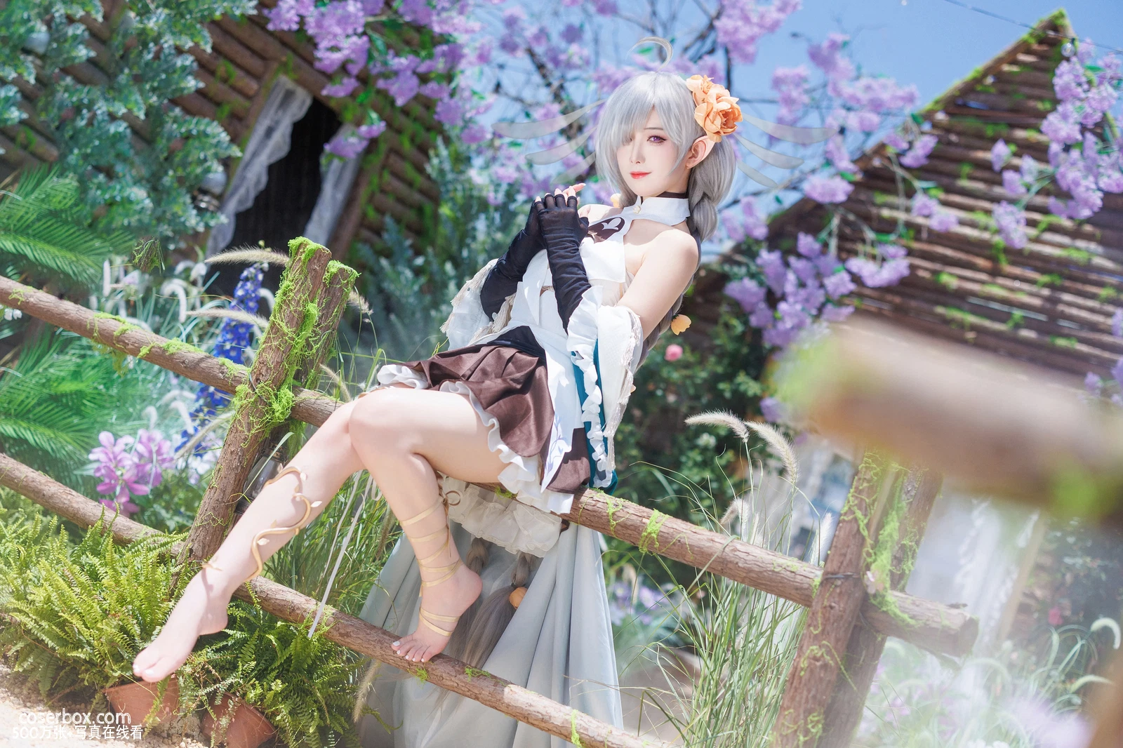 封疆疆 2025.11.27 埃佛森 - 在线看可下载原图