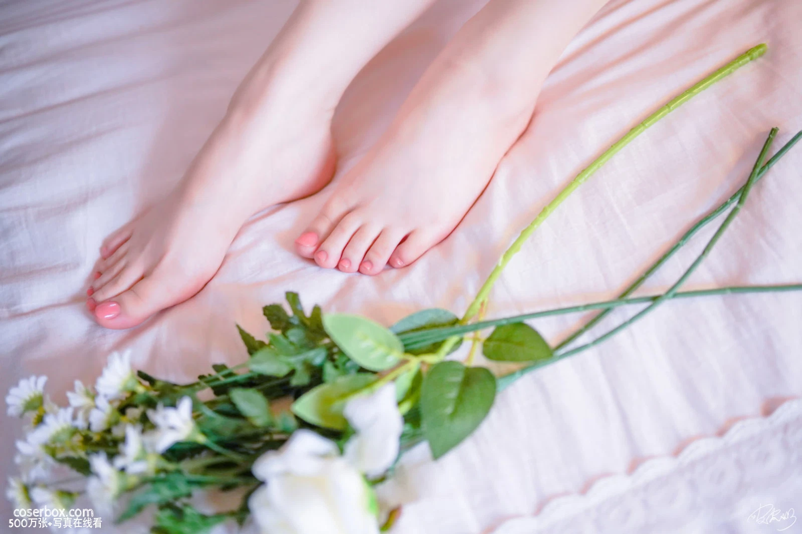 皮皮奶 2025.11.28 房东太太 - 在线看可下载原图