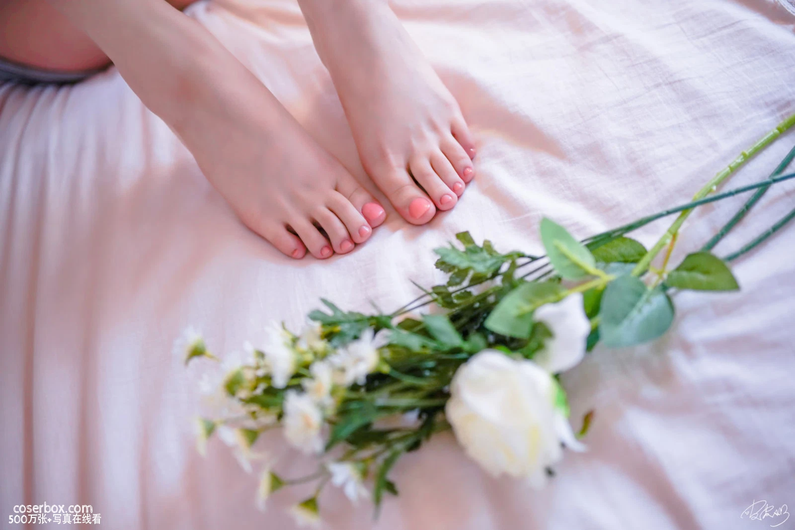 皮皮奶 2025.11.28 房东太太 - 在线看可下载原图