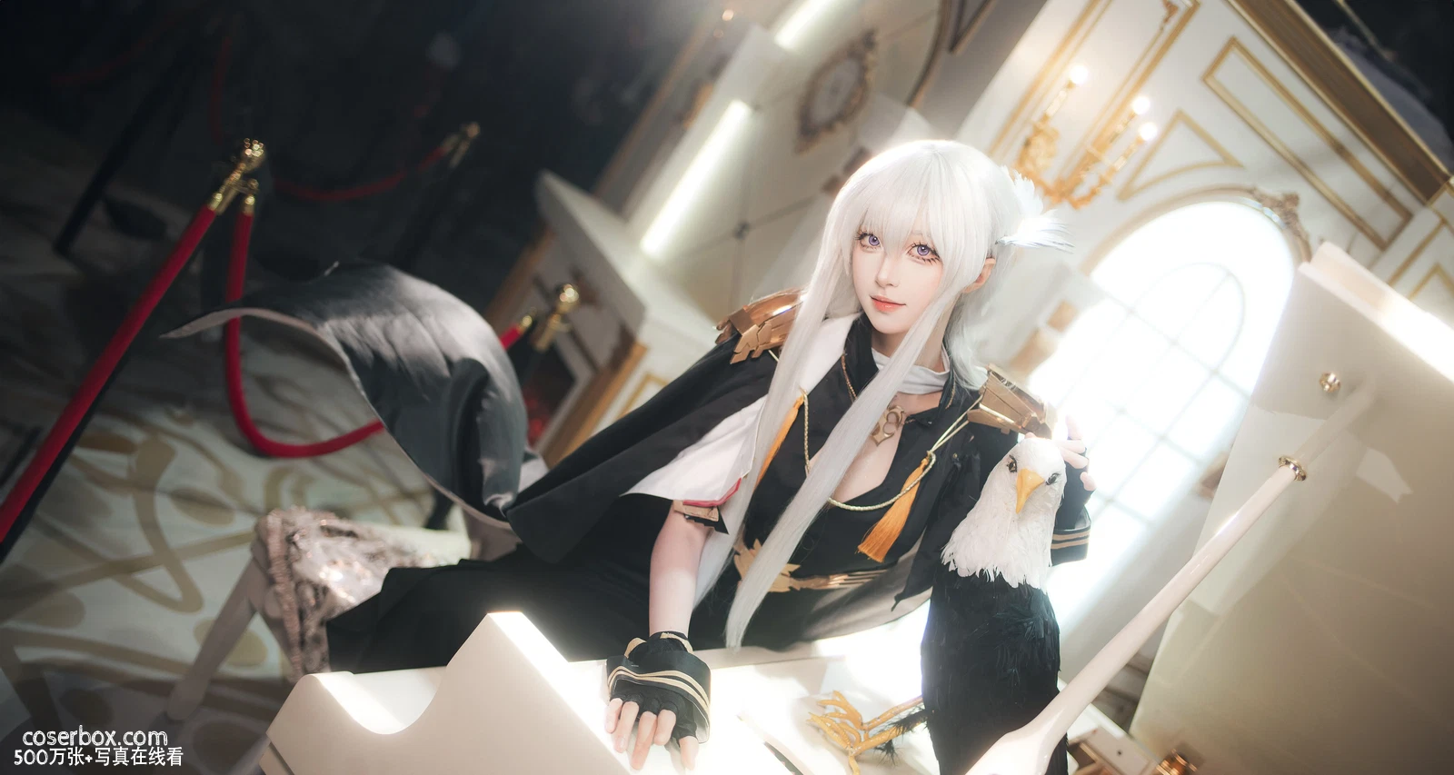 艺知昭昭 2025.11.24 企业换装 英雄的礼服 - 在线看可下载原图