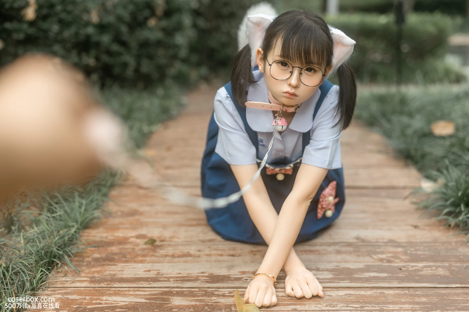 幼水铃衣 2025.11.22 小猫猫 - 在线看可下载原图