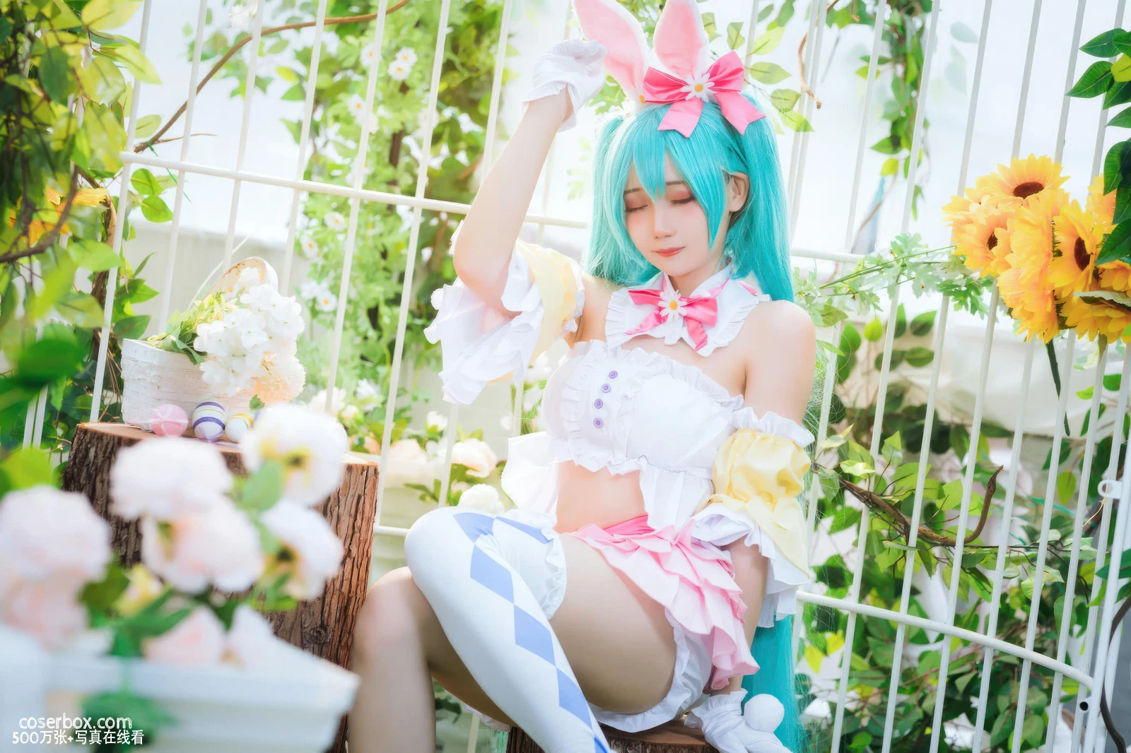 焖焖碳 2025.12.01 初音未来 复活节兔子 - 在线看可下载原图