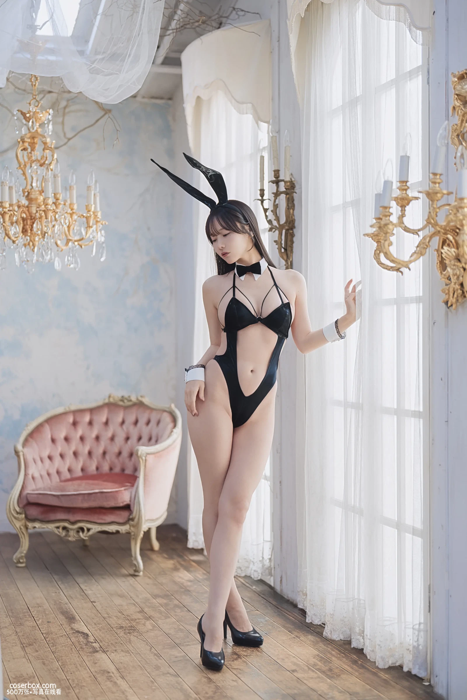 けん研 2025.12.14 DL写真集 KURO Animals - 在线看可下载原图