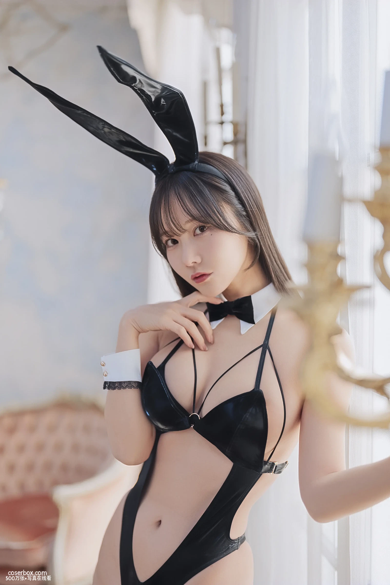 けん研 2025.12.14 DL写真集 KURO Animals - 在线看可下载原图