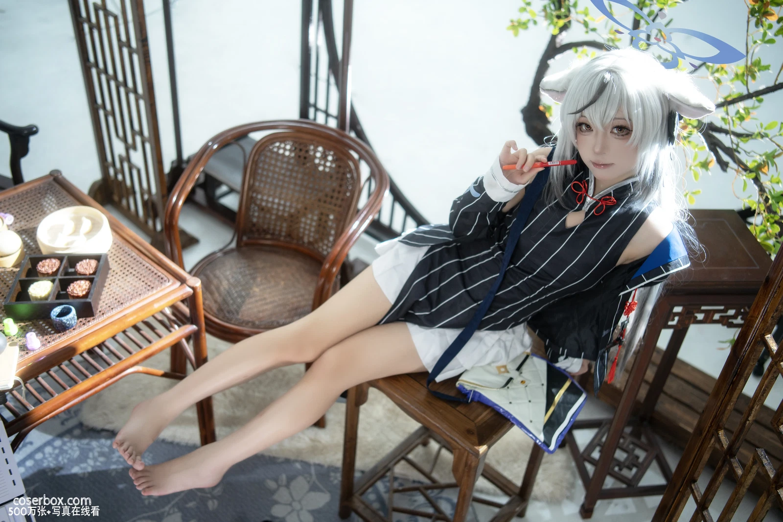 矢量鱼 2025.12.26 碧蓝航线春原 - 在线看可下载原图