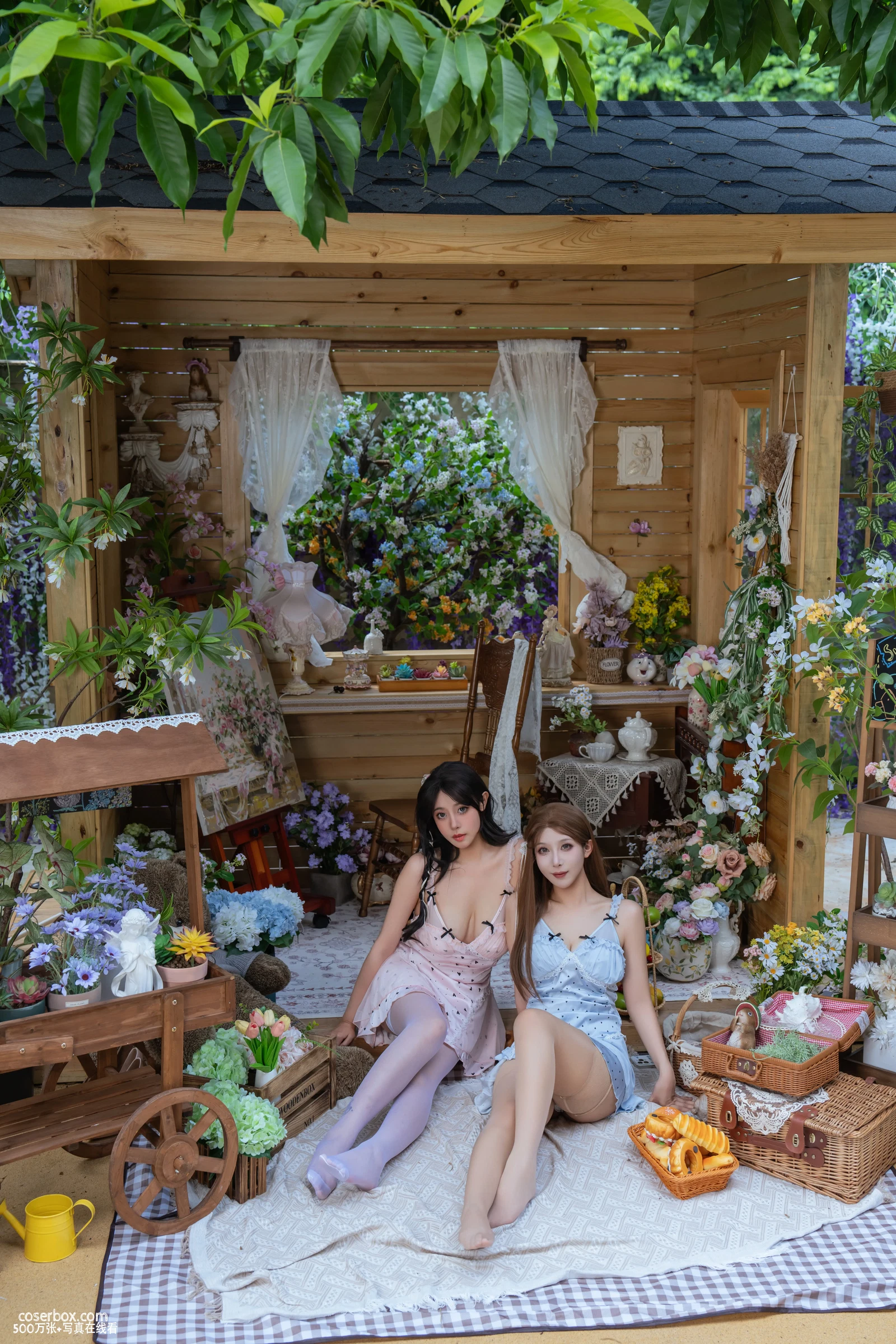 奈汐酱 2025.12.30 &奶桃桃 - 花眠 - 在线看可下载原图