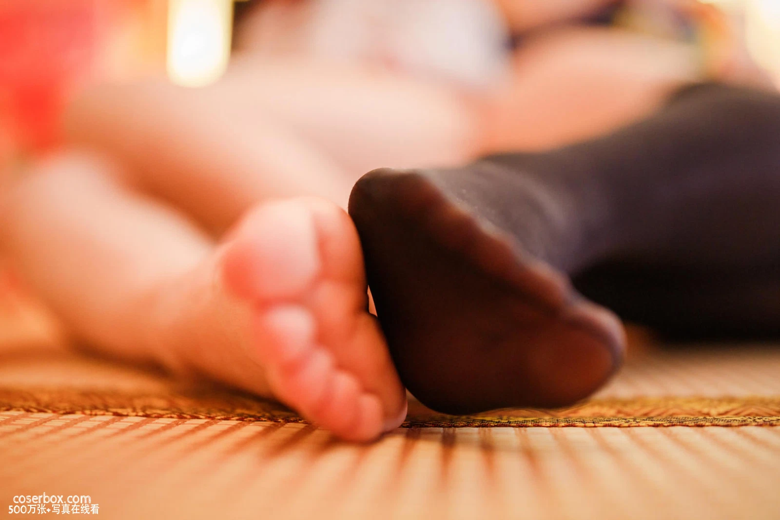 胡桃猫 2026.01.11 香川澪mio 巫女 - 在线看可下载原图