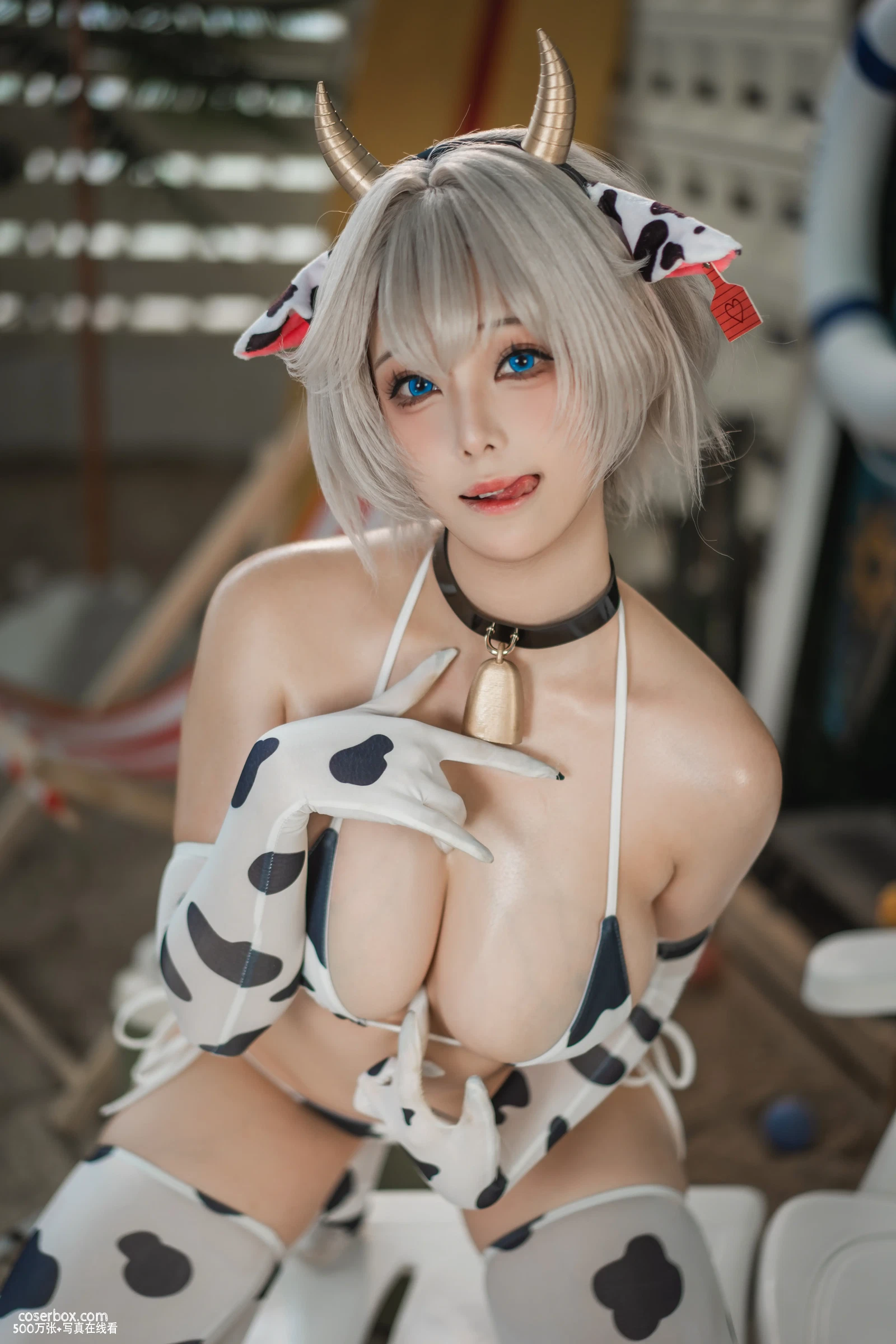 蜜汁猫裘 2026.01.09 棕色尘埃奶牛 - 在线看可下载原图