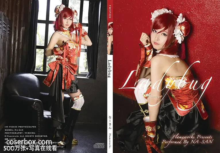 Weekly 2026.01.14 Ladybug 瓢虫雷迪